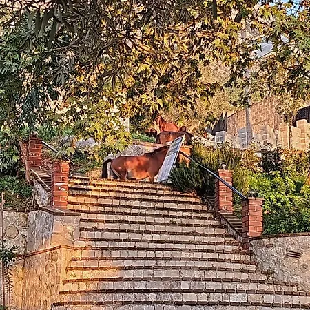 3 At Mali ロッジ Krujë