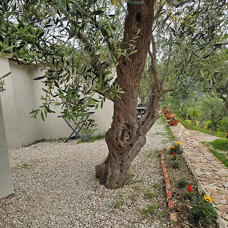 Lodge At Mali Camp With Pool Krujë