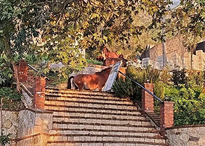 3 At Mali Деревянный коттедж Круя